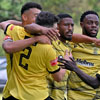 Celebration